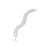 Weft Silverarmband 2 länkar