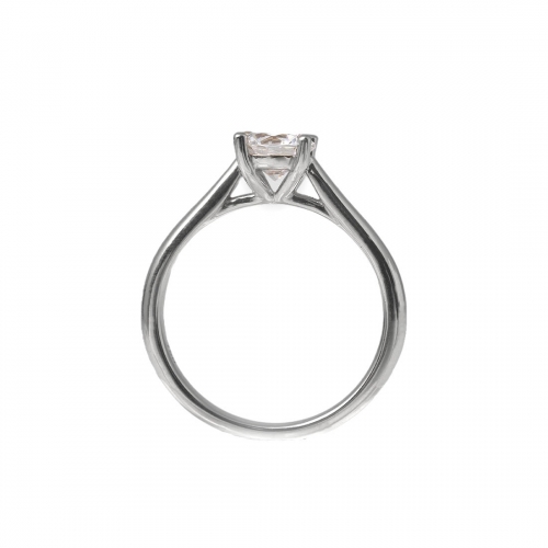 Caroline Vitguld Carl Hoff