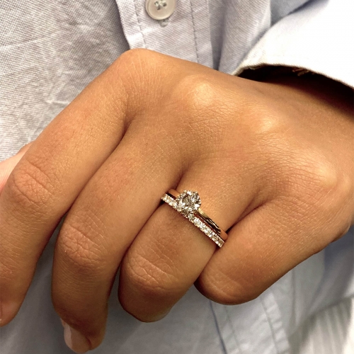 Castell Helallians Rödguld Carl Hoff