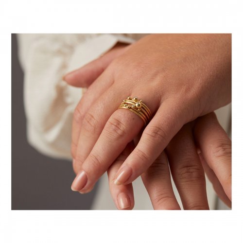 Delphis Ring 2 Guld Dulong