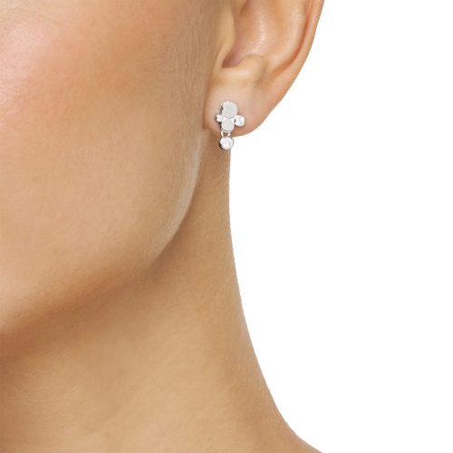 Little Champagne Örhängen