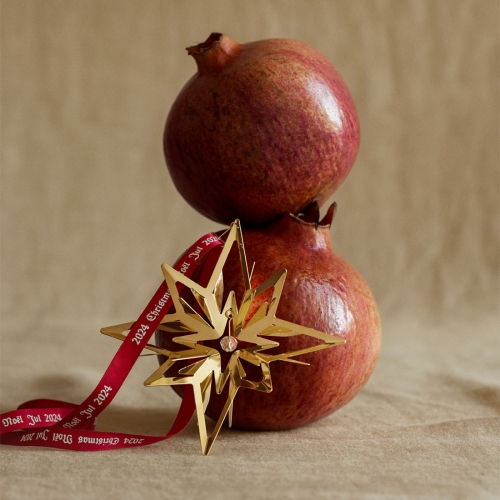 2024 Julmobil Stjärna Förgylld GEORG JENSEN